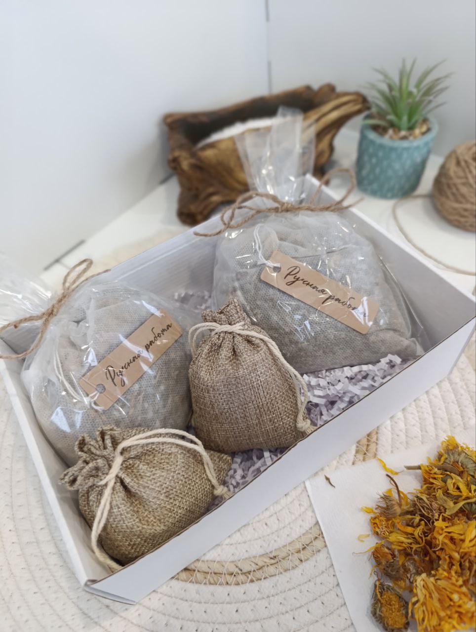 Тепло и Защита | Природный иммунитет — изображение 2