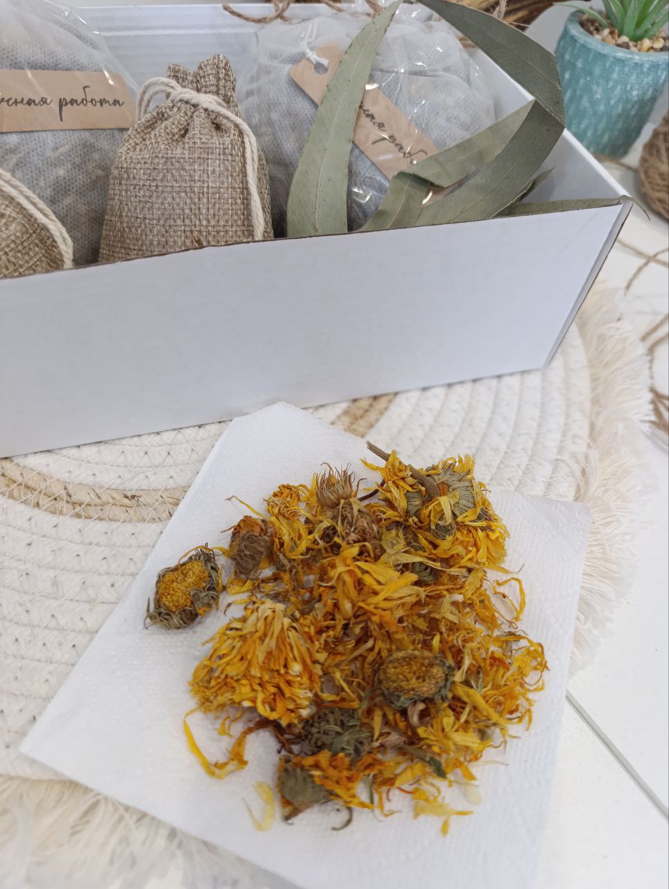 Тепло и Защита | Природный иммунитет — изображение 10