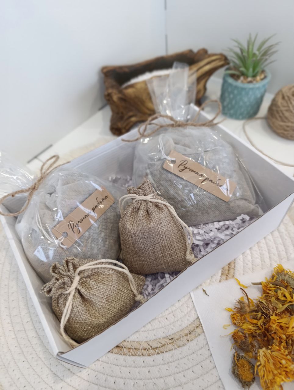 Тепло и Защита | Природный иммунитет — изображение 3