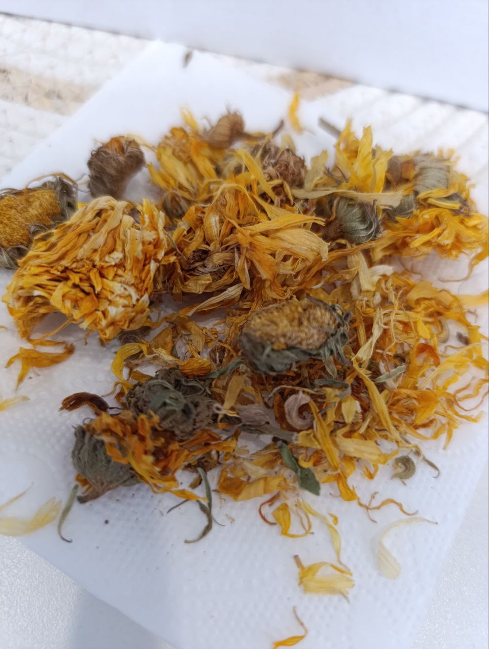 Тепло и Защита | Природный иммунитет — изображение 4