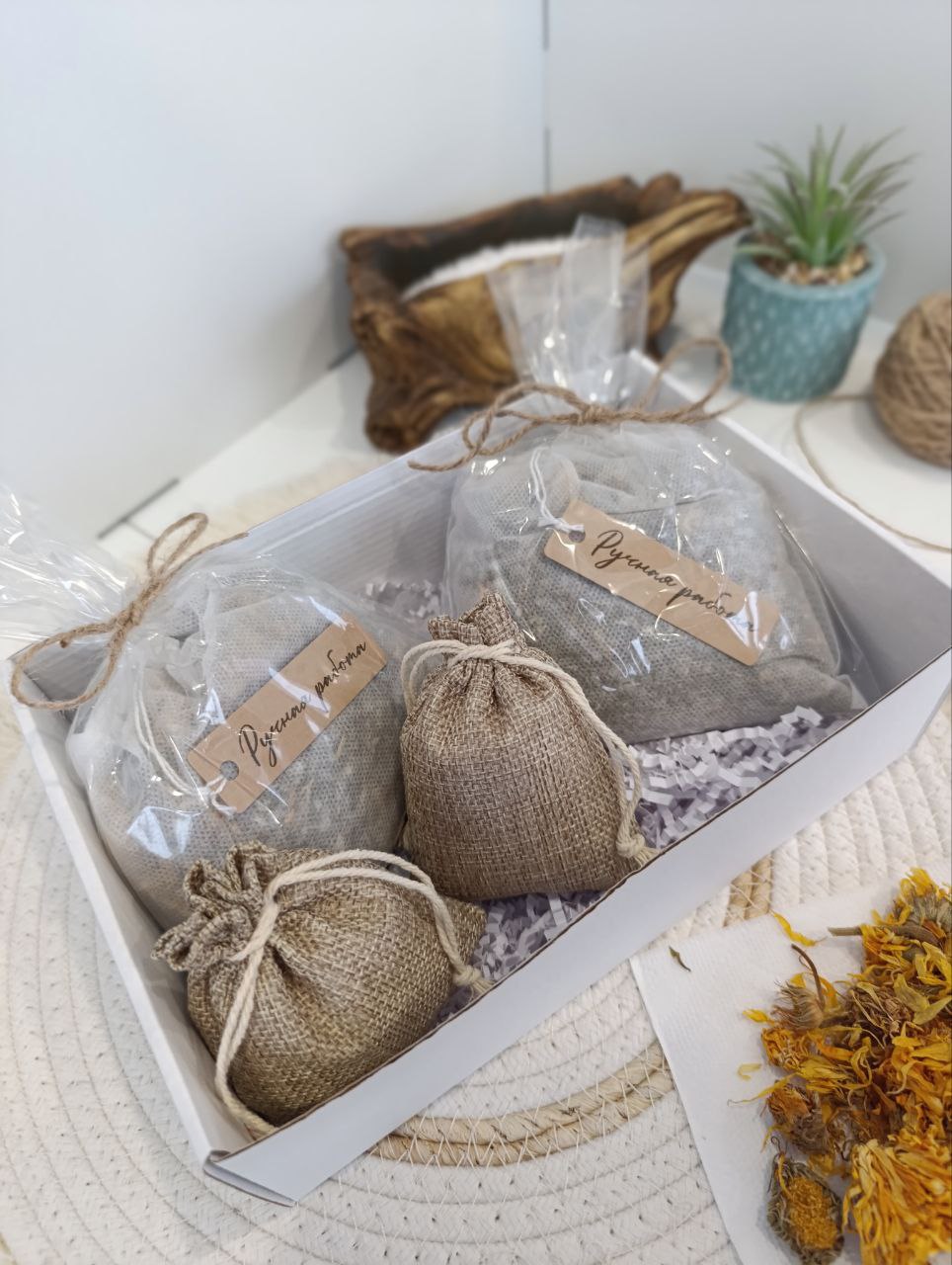 Тепло и Защита | Природный иммунитет — изображение 5