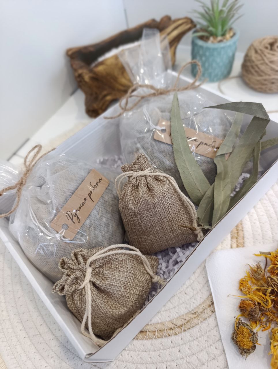 Тепло и Защита | Природный иммунитет — изображение 6