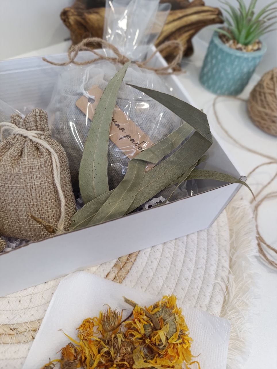 Тепло и Защита | Природный иммунитет — изображение 7