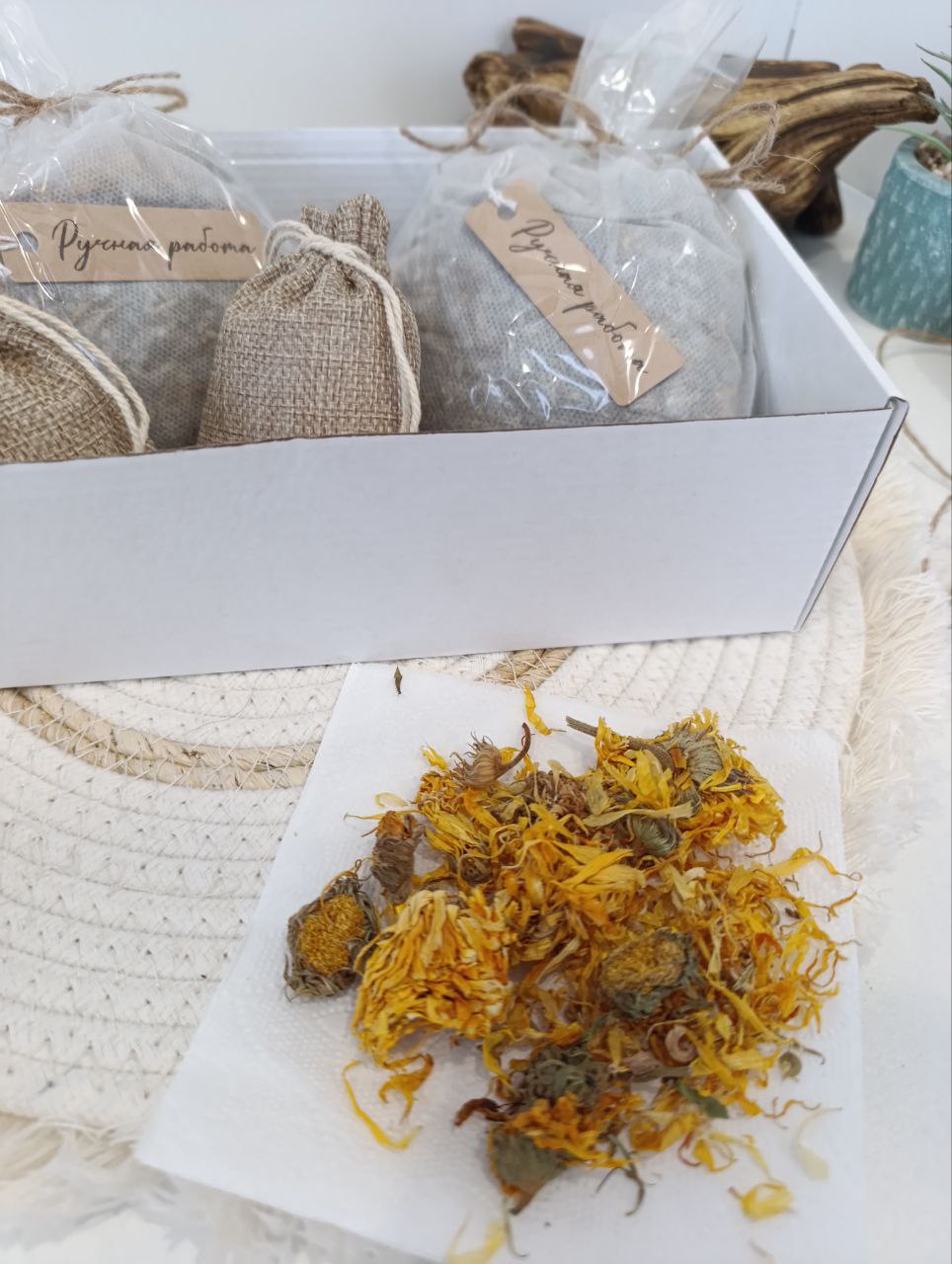 Тепло и Защита | Природный иммунитет — изображение 11